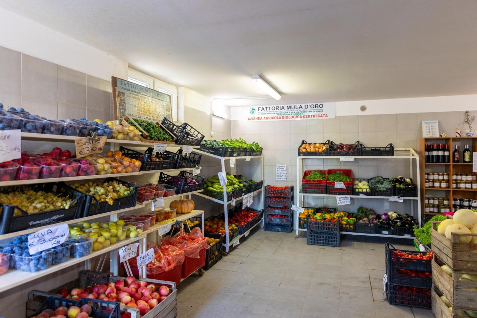 Bio Fattoria Mula D'Oro - Biofattoriamuladoro It - Organic Food, Nature & Relax Mulazzano Exterior photo