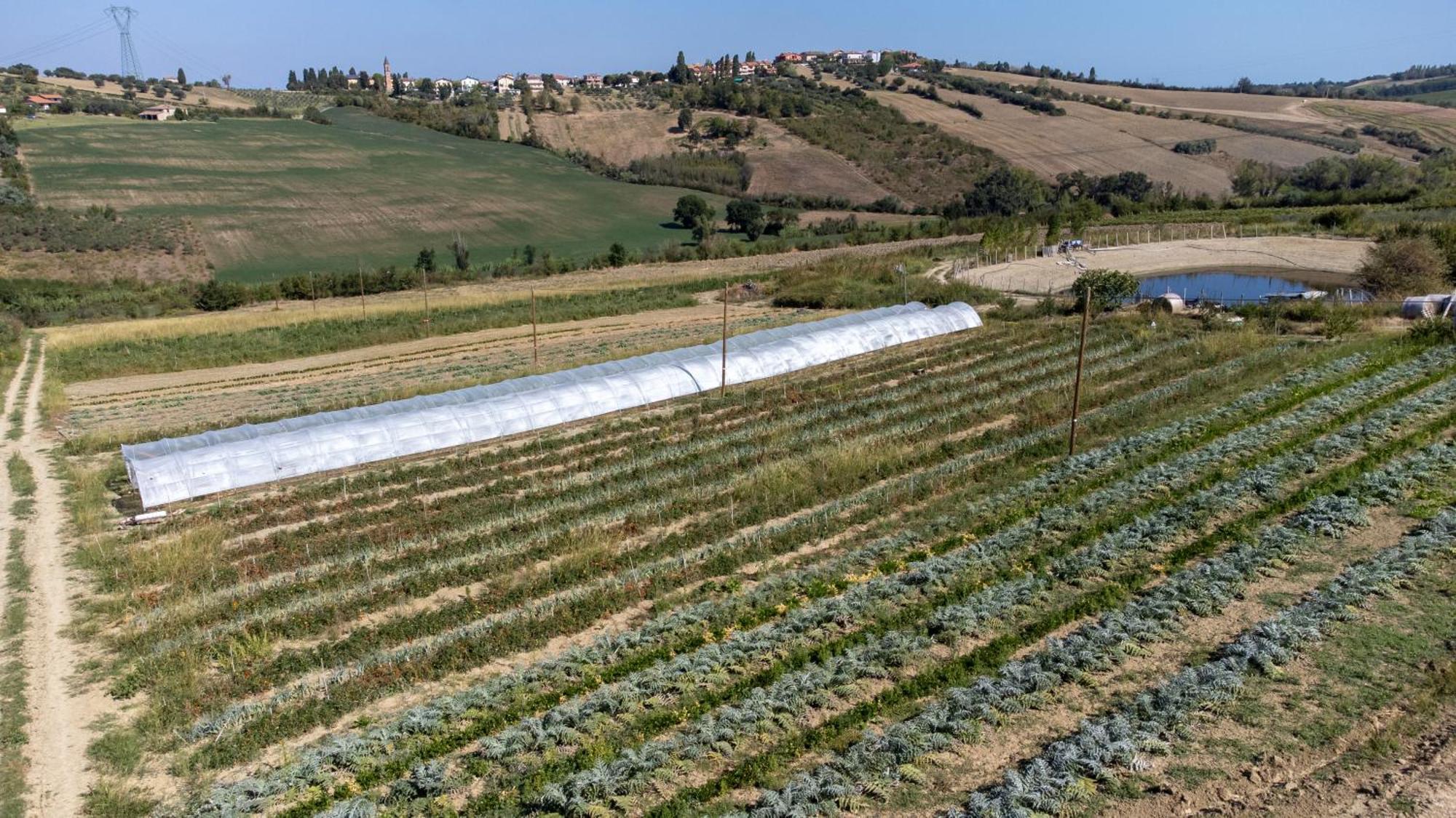 Bio Fattoria Mula D'Oro - Biofattoriamuladoro It - Organic Food, Nature & Relax Mulazzano Exterior photo