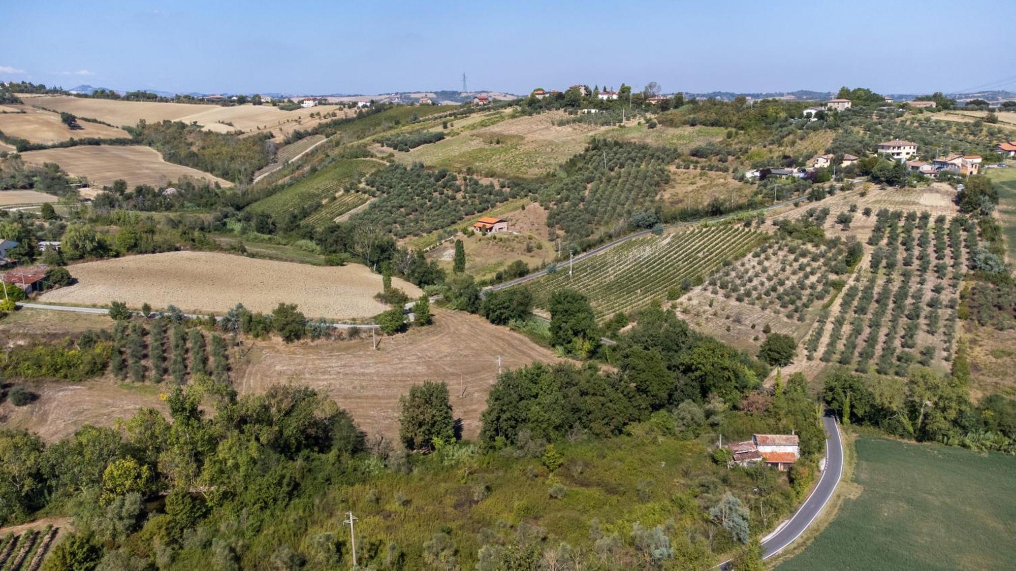 Bio Fattoria Mula D'Oro - Biofattoriamuladoro It - Organic Food, Nature & Relax Mulazzano Exterior photo