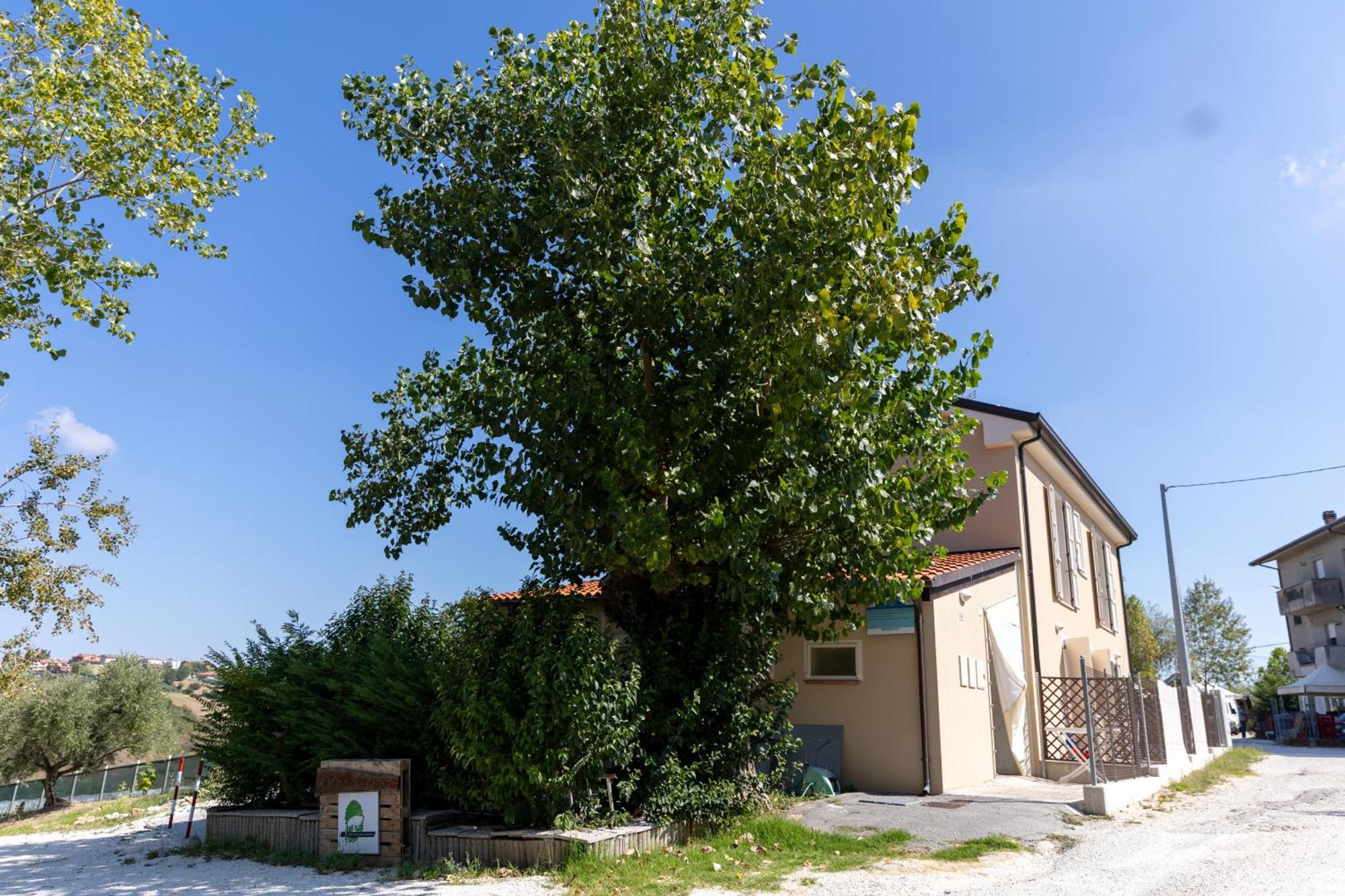 Bio Fattoria Mula D'Oro - Biofattoriamuladoro It - Organic Food, Nature & Relax Mulazzano Exterior photo