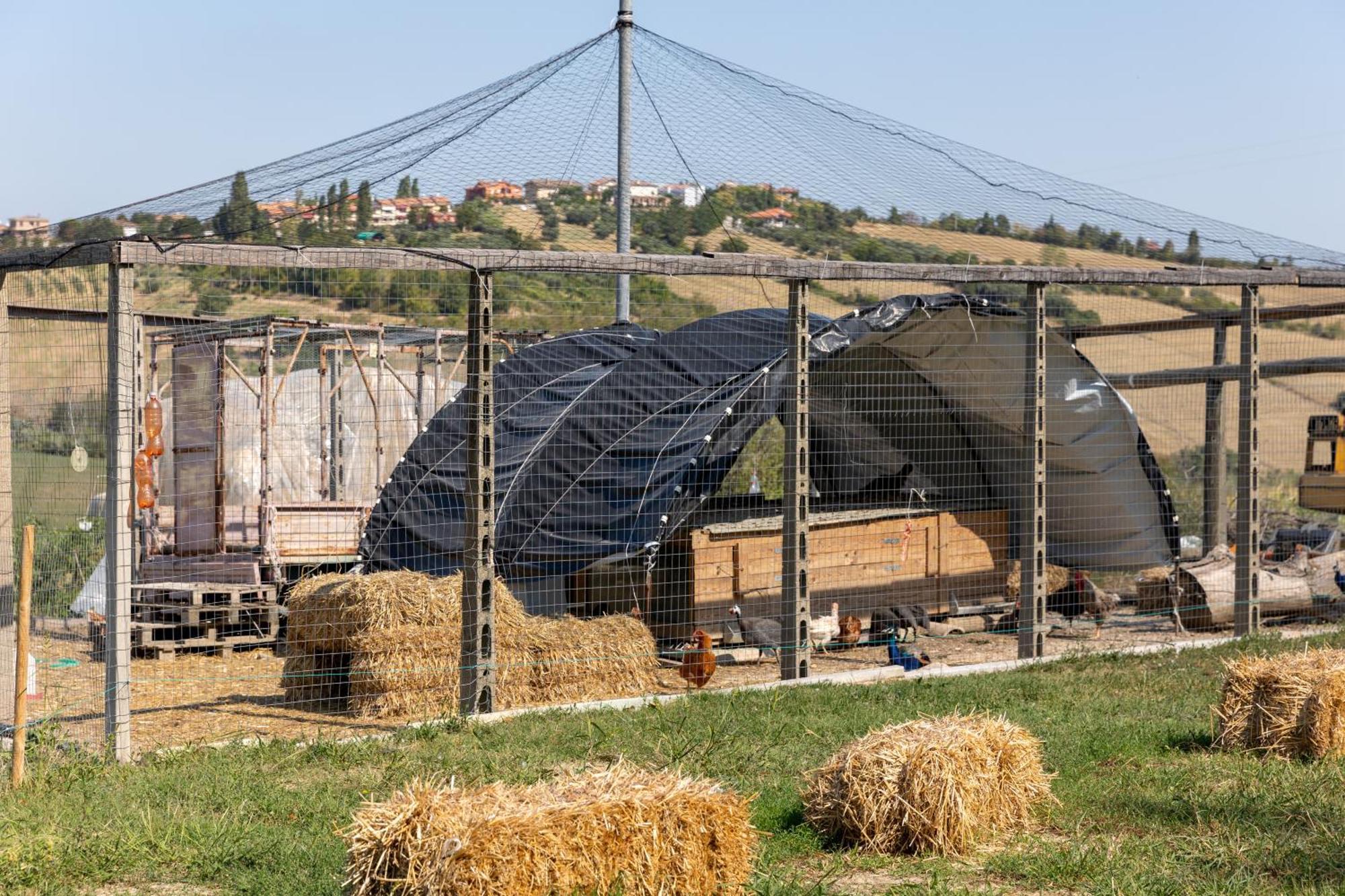 Bio Fattoria Mula D'Oro - Biofattoriamuladoro It - Organic Food, Nature & Relax Mulazzano Exterior photo